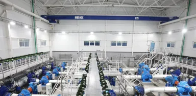 Кран опорный ручной БКС